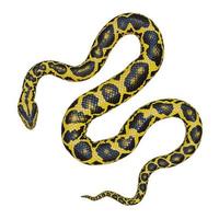 Yellow anaconda 3D illustration photo