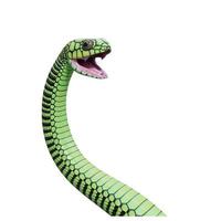 Boomslang snake 3D illustration photo