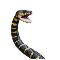 Mangrove snake 3D illustration photo