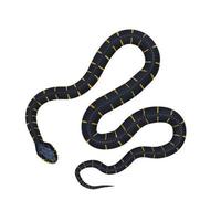 Mangrove snake 3D illustration photo