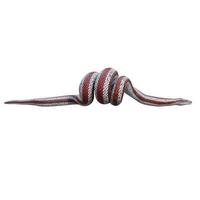 Rosy boa 3D illustration photo