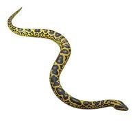 Yellow anaconda 3D illustration photo