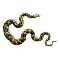 Yellow anaconda 3D illustration photo