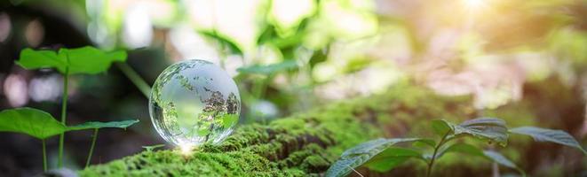Globe planet glass in green forest with bokeh nature lights. world environment day. concept of environment conservation, protect ecology earth and environmental eco-friendly life banner and copy space photo