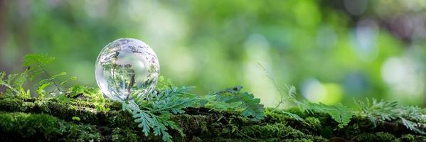 globo planeta cristal en bosque verde con luces de naturaleza bokeh. día Mundial del Medio Ambiente. concepto de conservación del medio ambiente, protección de la ecología, la tierra y el medio ambiente, pancarta de vida ecológica y espacio de copia foto