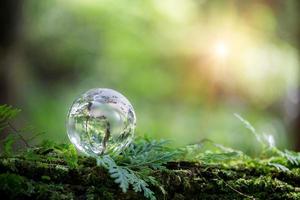 Globe planet glass In green forest with bokeh nature lights. world environment day. concept for environment conservation, protect ecology earth and environmental eco-friendly life with copy space photo