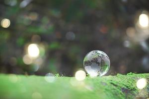 Globe planet glass In green forest with bokeh nature lights. world environment day. concept for environment conservation, protect ecology earth and environmental eco-friendly life with copy space photo