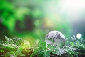 Globe planet glass In green forest with bokeh nature lights. world environment day. concept for environment conservation, protect ecology earth and environmental eco-friendly life with copy space photo