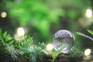 Globe planet glass In green forest with bokeh nature lights. world environment day. concept for environment conservation, protect ecology earth and environmental eco-friendly life with copy space photo