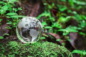 Globe planet glass In green forest with bokeh nature lights. world environment day. concept for environment conservation, protect ecology earth and environmental eco-friendly life with copy space photo