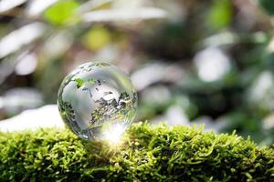 Globe planet glass In green forest with bokeh nature lights. world environment day. concept for environment conservation, protect ecology earth and environmental eco-friendly life with copy space photo