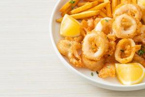 calamari - fried squid or octopus with fries photo