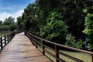 Red wooden bridge walkway leading straight out of the mangrove forest. Under the blue sky and white clouds. and there is a river on the side. At Phra Chedi Klang Nam, Pak Nam, Rayong, Thailand. photo