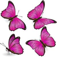 Set of pink realistic butterflies isolated on white background. Vector graphics.