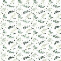 simple patrón sin costuras a base de hierbas. ilustración botánica. textura de naturaleza transparente de vector