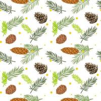 A branch of a Christmas tree with a cone. Vector color graphics. Texture pattern. Suitable for printed products on paper and fabric.
