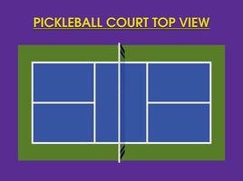 Pickleball Court Top View vector