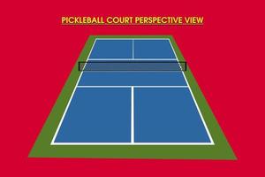 vista en perspectiva de la cancha de pickleball vector