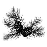 Cones and pine branches christmas decor ink style vector