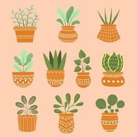 House Plant Vector Art