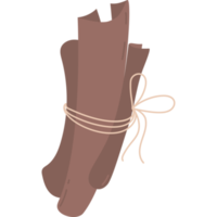 Spice. cinnamon sticks png