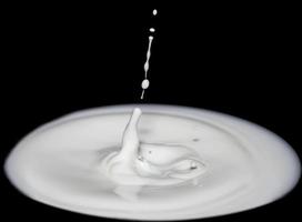 beautiful splash of drop milk at black background photo