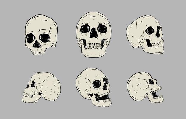 Realictic Skull Hand Drawn Element