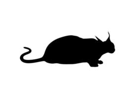 silueta de gato caracal para logotipo, pictograma, sitio web o elemento de diseño gráfico. ilustración vectorial vector