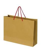 brown paper bag isolated on white with clipping path for mockup photo