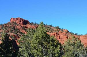 Evergreen Forested Area at the Base of a Rock photo