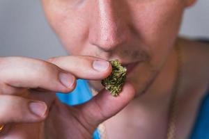 Adult man holding in the hand medical marijuana buds, close up photo