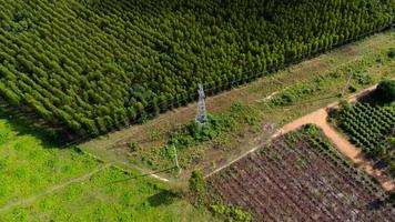 vista aérea de torres de alta tensión y líneas eléctricas cerca de una plantación de eucaliptos en tailandia. vista superior de los postes de alta tensión en el campo cerca del bosque de eucaliptos verdes. foto