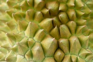 Durian ready to eat photo