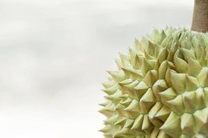 Durian ready to eat photo