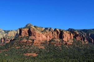 Evergreen Bushes and Trees in a Valley photo