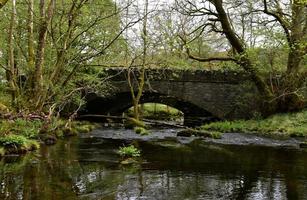 Arched Stone Bridge Over a River Surrounded by Trees photo