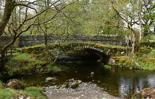 arco de puente rodeado de árboles en Inglaterra foto