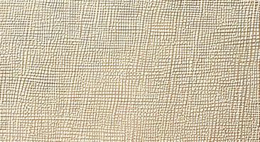 fabric for cross stitch It looks like a square grid and the canvas is white. photo