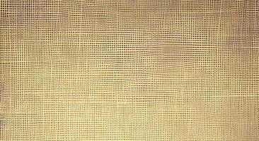 fabric for cross stitch It looks like a square grid and the canvas is white. photo