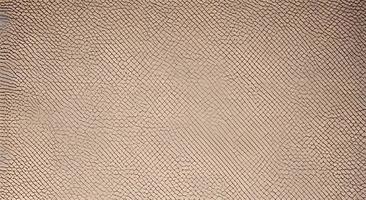 fabric for cross stitch It looks like a square grid and the canvas is white. photo