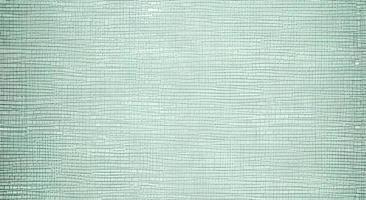 fabric for cross stitch It looks like a square grid and the canvas is white. photo