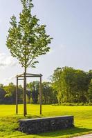 Natural panorama view lake pathway green plants trees forest Germany. photo