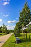 Natural panorama view lake pathway green plants trees forest Germany. photo