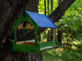 Bird feeder in the forest in the form of a house. photo