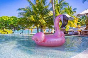 Luxury resort swimming pool with floating swan with blue sky and palm trees. Chairs, beds under umbrella, summer fun happy mood. Hotel pool, relax closeup, sunny tourism background photo