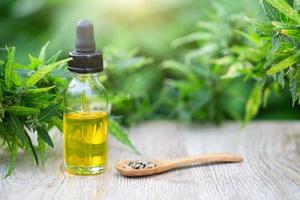 CBD oil cannabis extract, Hemp oil bottles and hemp flowers on a wooden table,  Medical cannabis concept photo