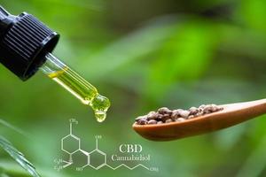 aceite de cáñamo, fórmula química cbd, aceite de cannabis en pipeta y semillas de cáñamo en una cuchara de madera, concepto de hierba médica foto