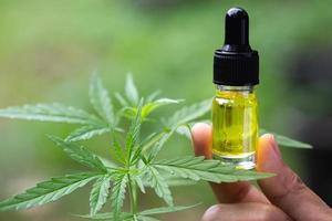 cbd hemp oil, doctor hand hold and offer to patient medical marijuana and oil., legal light drugs prescribe, alternative remedy or medication,medicine concept photo