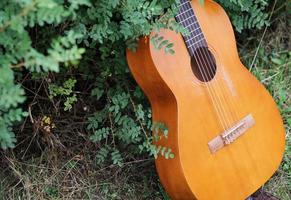 A guitar leaning against a bush in a garden photo