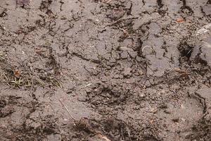 textura sucia. tierra mojada y empapada después de la lluvia. superficie de barro en otoño. foto
